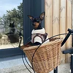 ラグジュアリーテント Amaraxe Ecoglamping *