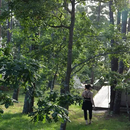 Amaraxe Ecoglamping