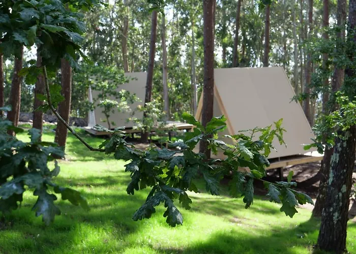 Amaraxe Ecoglamping