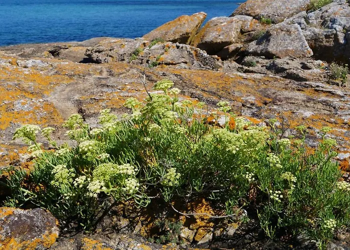 Luxe tent Amaraxe Ecoglamping